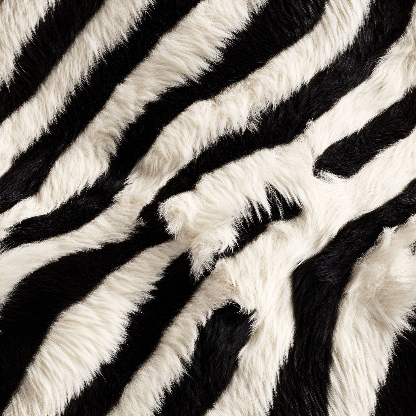 Karneval Zebra